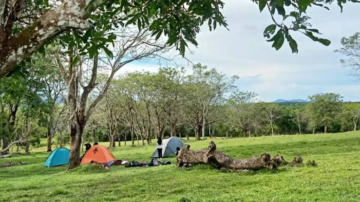 Pemandangan Taman Permana